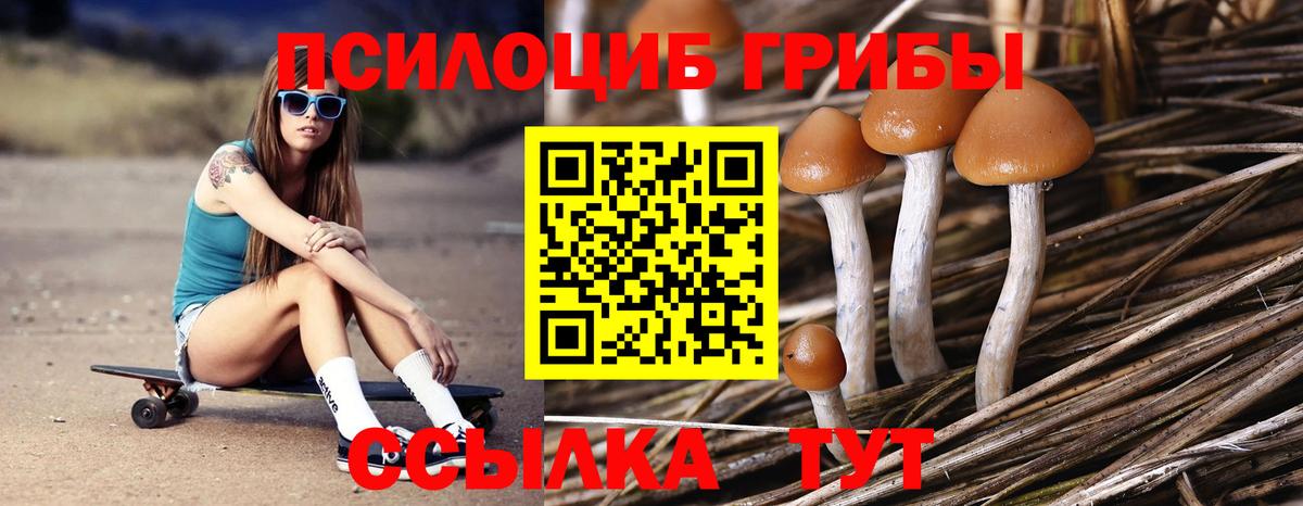 Галлюциногенные грибы ЛСД Артёмовский