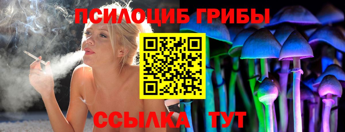 Артёмовский  Галлюциногенные грибы Magic Shrooms  Псилоцибиновые грибы мицелий  даркнет сайт  Вход с VPN 